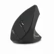 Acer Vertical Wireless Opticai mouse Fekete