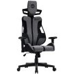 Canyon Morphos ABCH01 Gaming Chair Grey