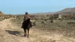 Red Dead Redemption PS4