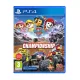 PAW Patrol™ Rescue Wheels™: Championship PS4 (second hand)